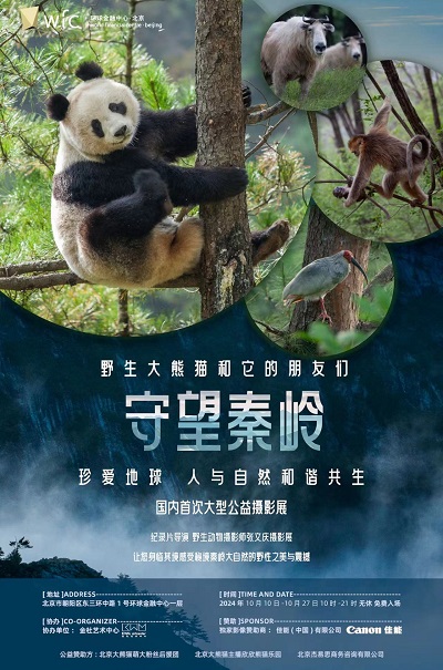 “守望秦嶺 野生大熊貓和它的朋友們”大型公益攝影展聚焦環境保護與生物多樣性監測